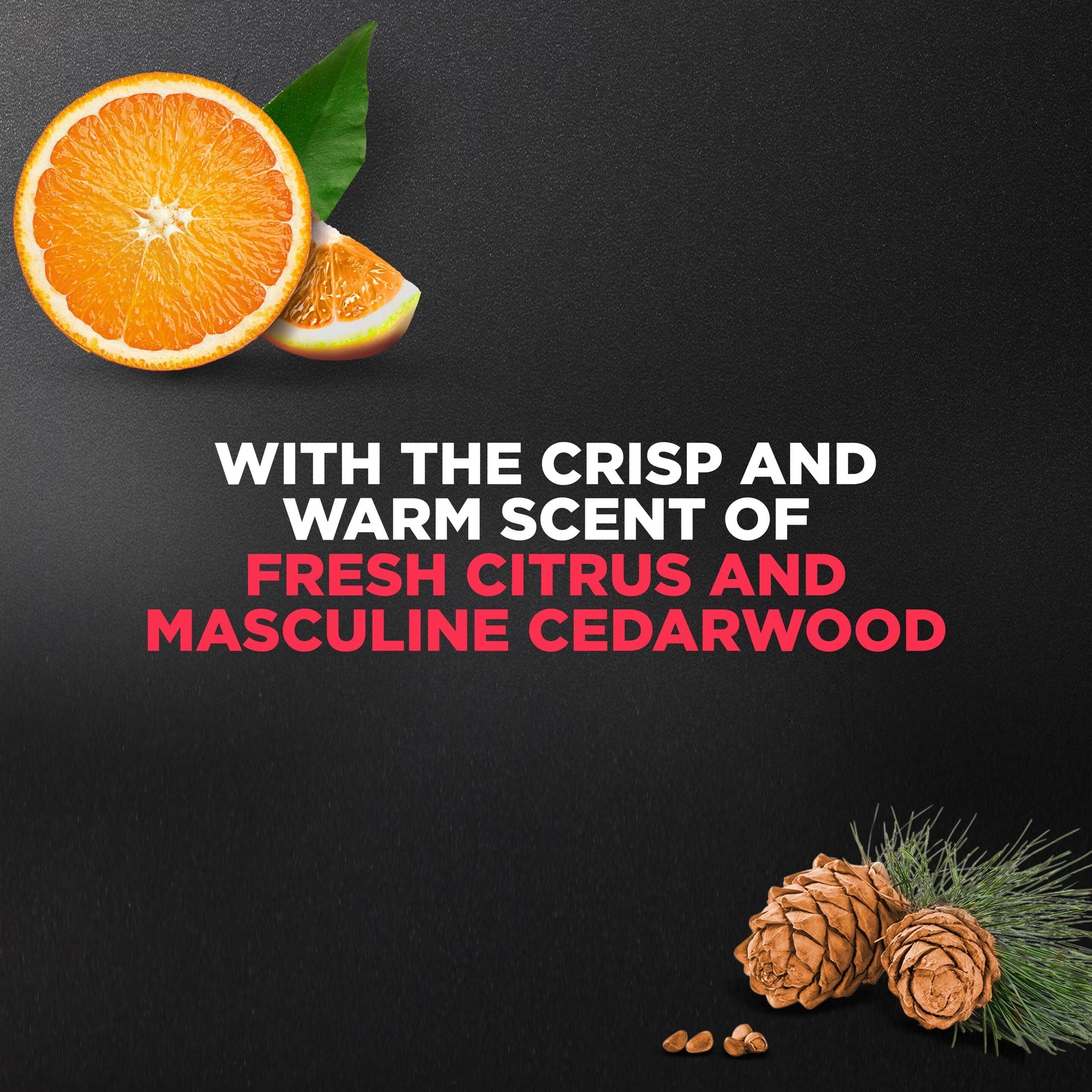 Body and Face Wash for Men, Exfoliating Deep Clean with 24-Hour Nourishing Micromoisture Technology Body Wash, ,30 Fl Oz